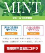 ミント / minto
